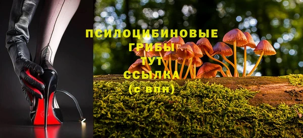 герыч Арсеньев