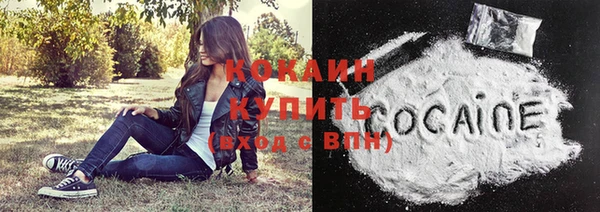 apvp Видное