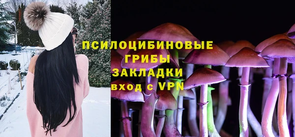 ECSTASY Алексеевка