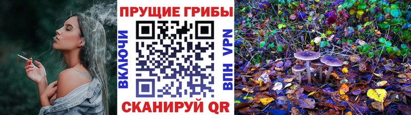 Галлюциногенные грибы ЛСД hydra как зайти Нея даркнет сайт